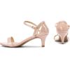 image:imageDREAM PAIRS Womens Lexii Fashion Stilettos Open Toe Pump Heel SandalsBlush Pat