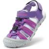 All Purple