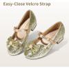 image:imageDREAM PAIRS Girls Dress Shoes Princess Shoes for Toddler Little Girl Mary Jane Low Heels Glitter Flower Party Wedding FootwearGold