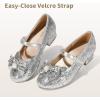 image:imageDREAM PAIRS Girls Dress Shoes Princess Shoes for Toddler Little Girl Mary Jane Low Heels Glitter Flower Party Wedding FootwearSliver