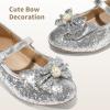 image:imageDREAM PAIRS Girls Dress Shoes Princess Shoes for Toddler Little Girl Mary Jane Low Heels Glitter Flower Party Wedding FootwearSliver