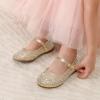 image:imageDREAM PAIRS Toddler Girls Dress Shoes Mary Jane Rhinestone Ballerina Flat for Party Birthday Performance WeddingGold