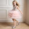 image:imageDream Pairs Girls Ballerina Dress Shoes Mary Jane FlatsSilvermetallic