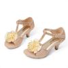 image:imageDREAM PAIRS Girls Sandals Low Heel Dress Pump Ankle T Strap Flower Shoes ToddlerLittle KidBig KidGold