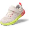 Light Grey/Rainbow