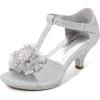 image:imageDREAM PAIRS Girls Sandals Low Heel Dress Pump Ankle T Strap Flower Shoes ToddlerLittle KidBig KidSilver