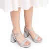 image:imageDREAM PAIRS Girls Sandals Open Toe Low Block Chunky Heels Sandals Party Dress Pumps Shoes for Little Big KidSilverglitter