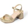 image:imageDREAM PAIRS Girls Sandals Open Toe Low Block Chunky Heels Sandals Party Dress Pumps Shoes for Little Big KidGoldglitter