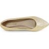 image:imageDREAM PAIRS Womens Dress Pointed Toe Flats Ballet Comfort Soft Slip On Casual Flat Shoes for Work Office BusinessGoldGlitter