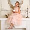 image:imageDREAM PAIRS Girls Sandals Open Toe Low Block Chunky Heels Sandals Bow Flower Party Dress Pumps Shoes for Little Big KidSilver