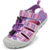 Purple/Light/Purple