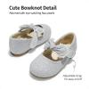 image:imageDREAM PAIRS Toddler Flower Girl Dress Shoes Little Girls Mary Janes Ballet Flats Ballerina Shoes Wedding PartySilverGlitter