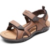 All Brown
