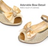 image:imageDREAM PAIRS Girls Heels Dress Shoes Flats for Wedding Bow Flower Princess Shoes for Little KidBig KidGoldglitter
