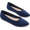 image:imageDREAM PAIRS Womens Pointed Toe Flats Comfortable Flexible Cushioned Slip On Business Work Office Casual Suede Ballet Flats Dress ShoesNavy
