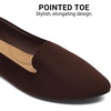 image:imageDREAM PAIRS Womens Pointed Toe SlipOn Dressy Flat Shoes Comfortable Business Casual Dress Shoes for Office WorkChocolate