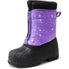 Purple/Multi