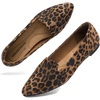 image:imageDREAM PAIRS Womens Pointed Toe SlipOn Dressy Flat Shoes Comfortable Business Casual Dress Shoes for Office WorkLeopard
