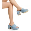 image:imageDREAM PAIRS High Chunky Platform Heels for Women Fashion Comfort Slip on Square Open Toe Block Heel SandalsDenim Blue