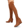 image:imageDREAM PAIRS Womens Pointed Toe Thigh High Over the Knee Boots Tall Chunky Blocked Heel Fall Long Fashion Sexy BootsBrown