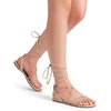 image:imageDREAM PAIRS Laceup Gladiator Sandals Strappy Dressy Summer Flat Sandals for WomenNude