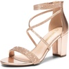 image:imageDREAM PAIRS Womens Chunky Block Heel Sandals Open Toe Ankle Strap Dress Shoes Comfortable Wedding Guest Heels for Party Prom and Formal EventsChampagnepu