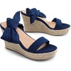 image:imageDREAM PAIRS Womens Open Toe Espadrilles Wedges Tie Lace Up Cute Ankle Strap Platform Sandals Dressy ShoesNavy