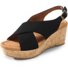 image:imageDREAM PAIRS Womens Platform Wedge Heel Sandals Comfortable Ankle Strap Sandals for Women Casual Dressy SummerSize 10BlackNubuckSDPW2411W