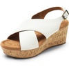 image:imageDREAM PAIRS Womens Platform Wedge Heel Sandals Comfortable Ankle Strap Sandals for Women Casual Dressy SummerSize 8WhitePuSDPW2411W