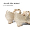 image:imageDREAM PAIRS Girls Mary Jane Flower Dress ShoesLight Gold
