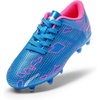 Blue/Hot Pink