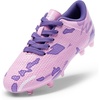 Pink/Purple