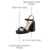image:imageDREAM PAIRS Heels for Women Block Chunky Platform SandalBlack